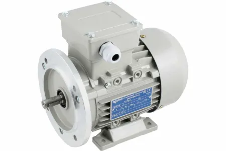 INNORED Электродвигатель трёхфазный асинхронный (2.2 кВт 1400 об/мин) 250"28мм, на лапах, схема включения "звезда"/"треугольник" (380В/220В), IP55 RM100L1-4 B35